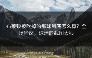 布莱顿被吹掉的那球到底怎么算？全场哗然，球迷的截图太狠