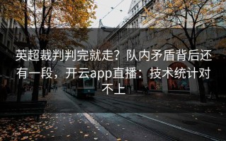 英超裁判判完就走？队内矛盾背后还有一段，开云app直播：技术统计对不上