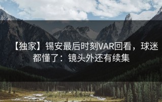 【独家】锡安最后时刻VAR回看，球迷都懂了：镜头外还有续集