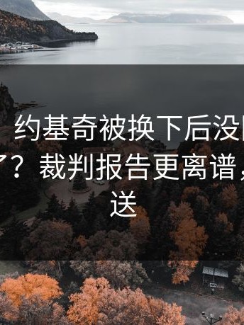 【现场】约基奇被换下后没回替补席，谁看懂了？裁判报告更离谱，开云推送